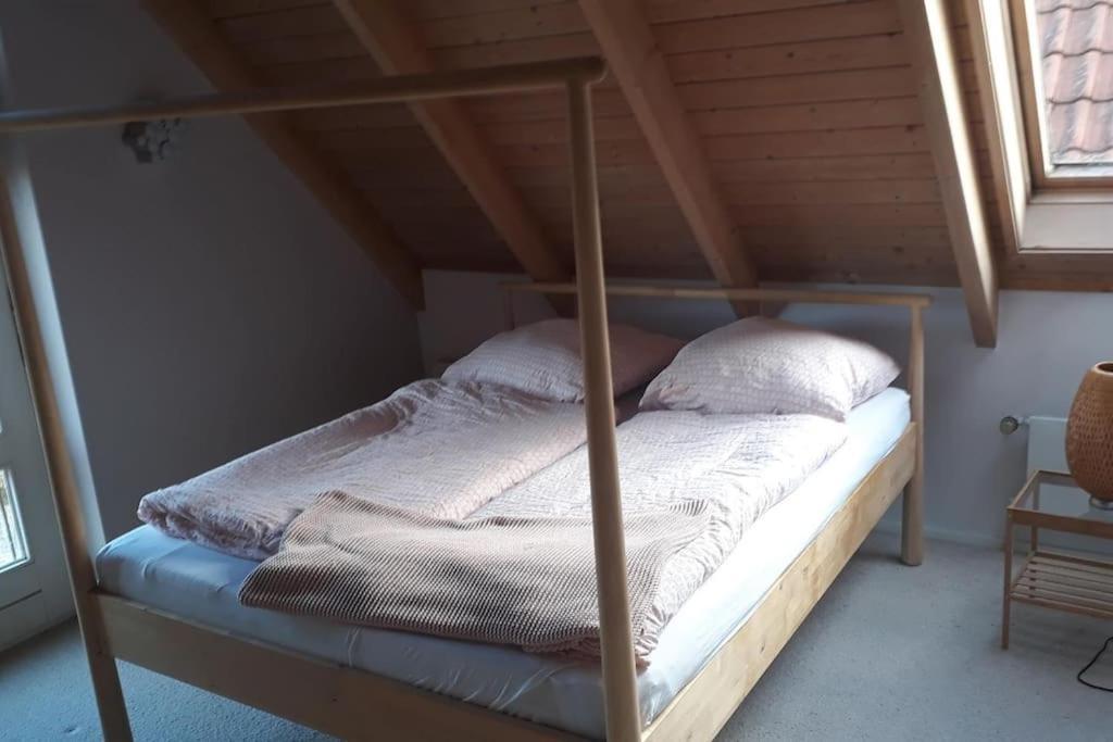 Nordhoernchen! Sehr Zentral, Trotzdem Ruhig! Nordhorn Eksteriør billede